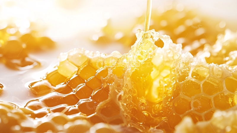 高清大图下载【趣麦麦图】滴着蜂蜜的蜂巢特写