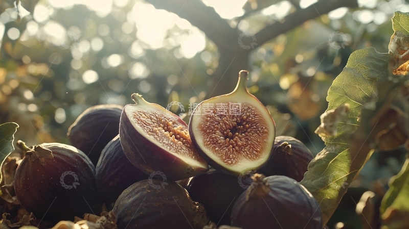 高清大图下载【趣麦麦图】无花果堆放高清图片