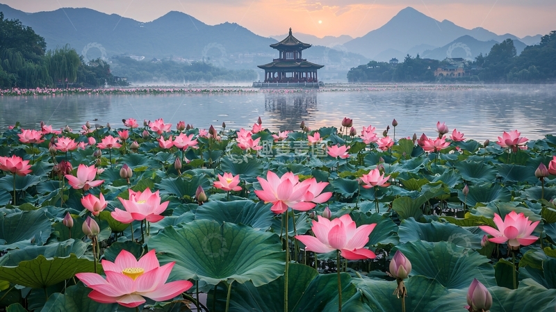 高清大图下载【趣麦麦图】荷花池塘中的古典亭台