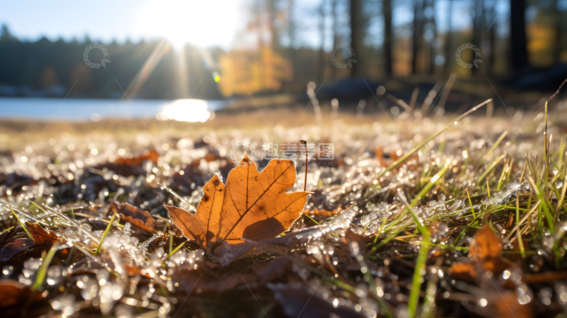 高清大图下载【趣麦麦图】-冬日结晶的小草