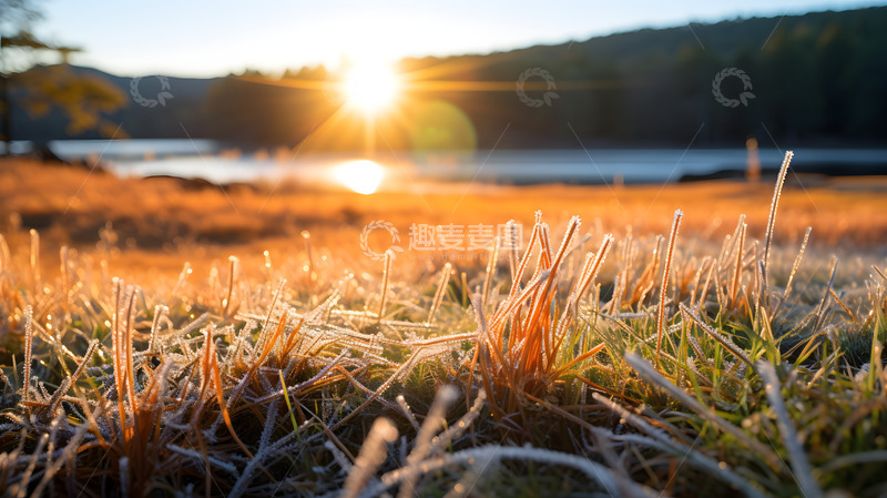 高清大图下载【趣麦麦图】冬日结晶的小草1
