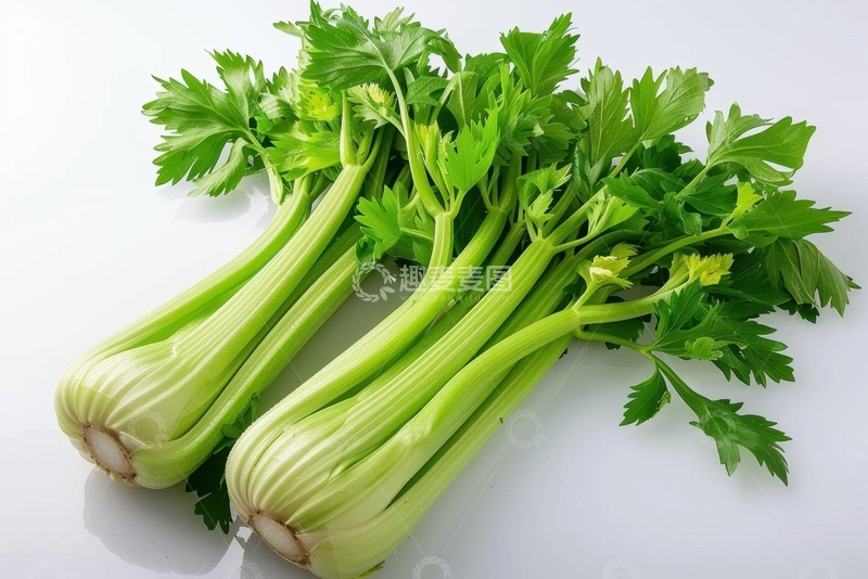 高清大图下载【趣麦麦图】绿色两颗芹菜