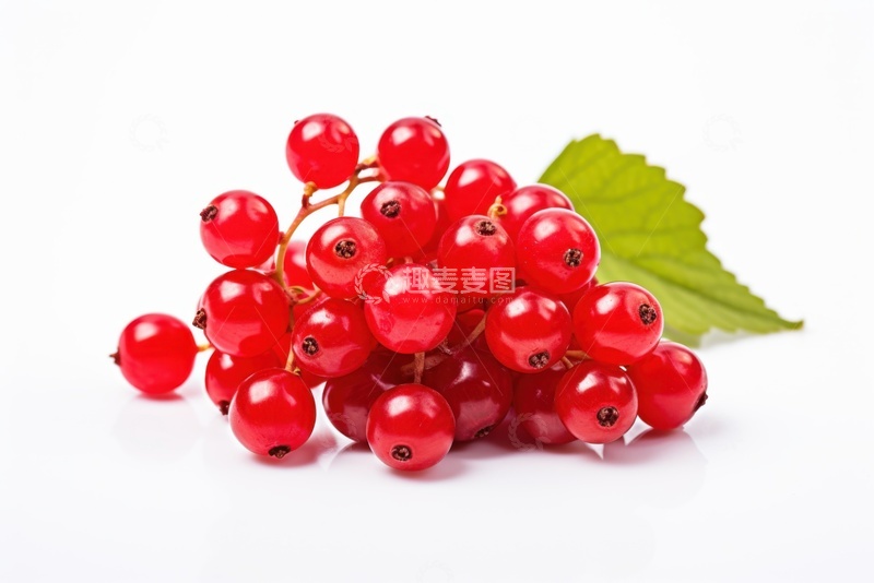 高清大图下载【趣麦麦图】新鲜的中草药五味子