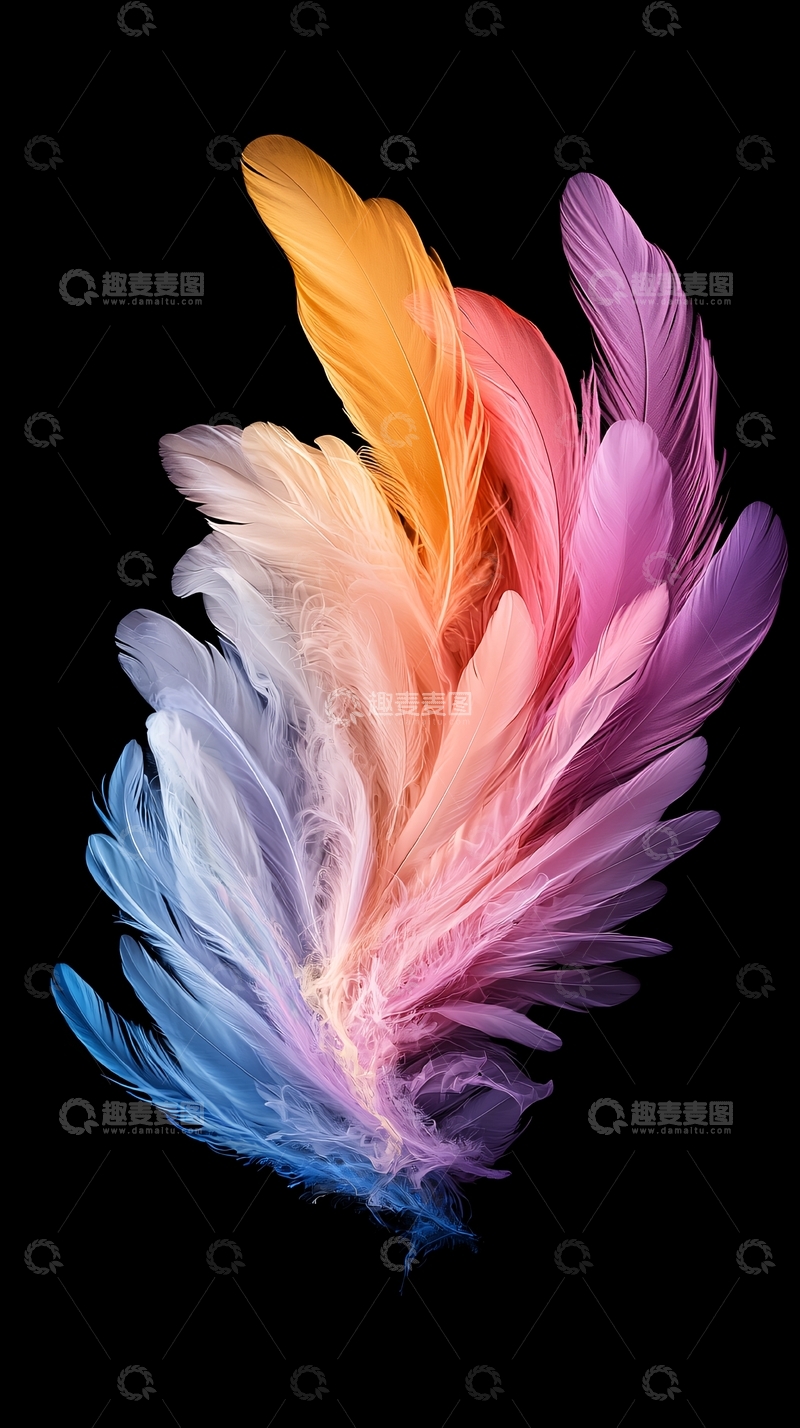 高清大图下载【趣麦麦图】彩色羽毛特写黑色背景