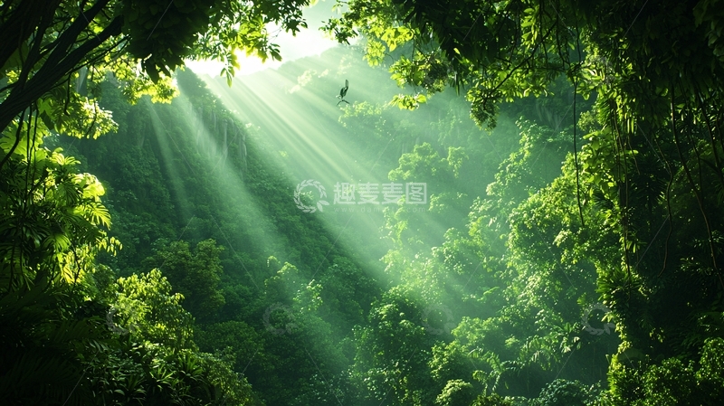 高清大图下载【趣麦麦图】森林阳光穿透树叶