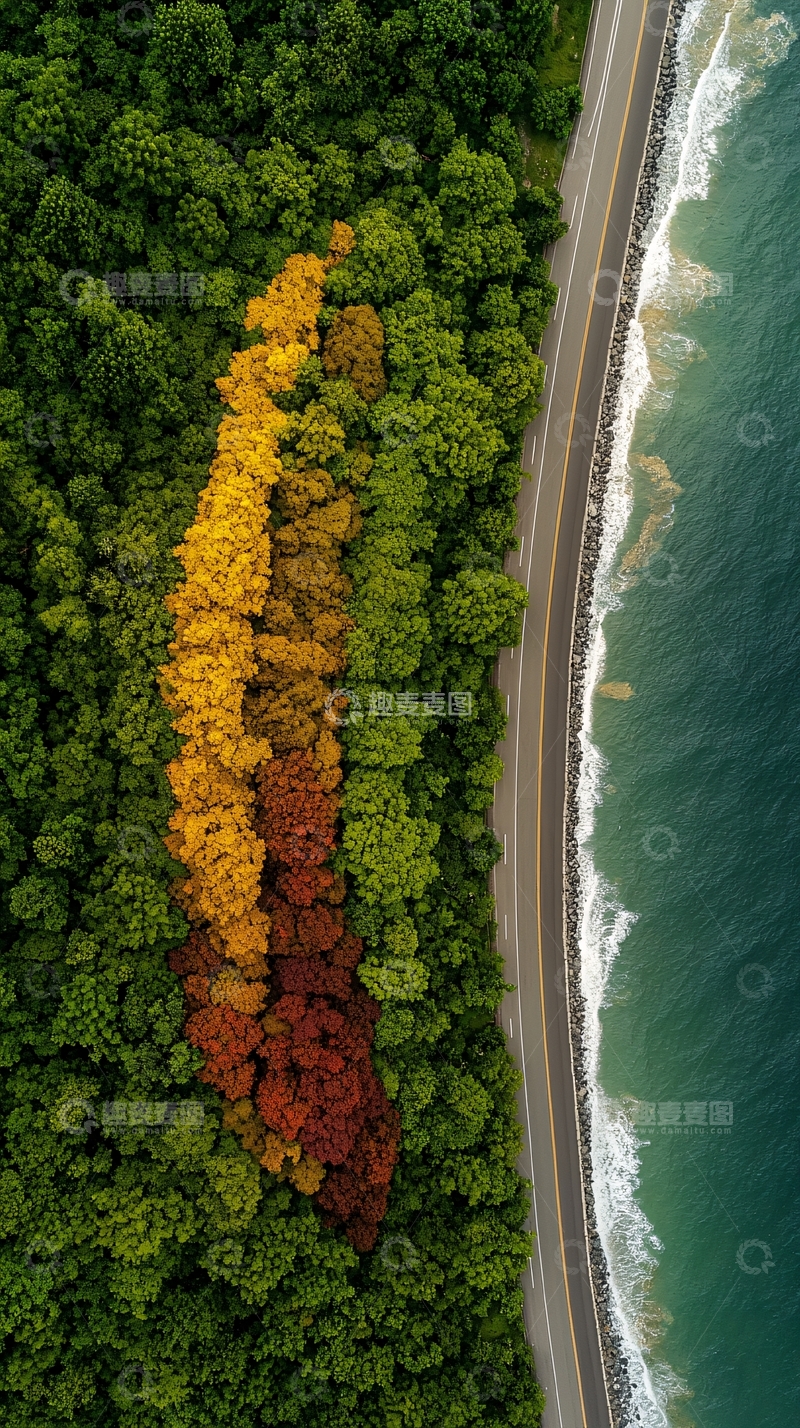 高清大图下载【趣麦麦图】海岸公路旁的彩色森林