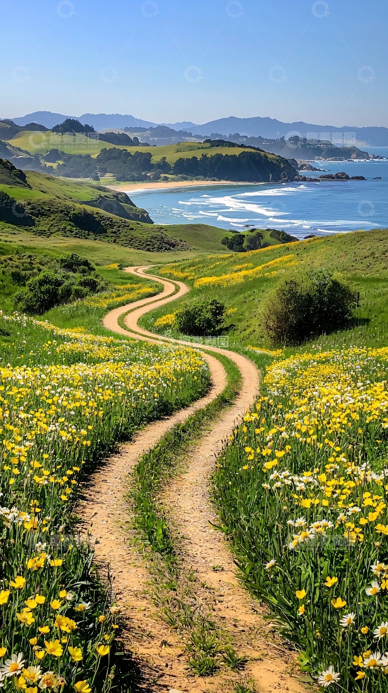高清大图下载【趣麦麦图】蜿蜒小路通向海滩的风景