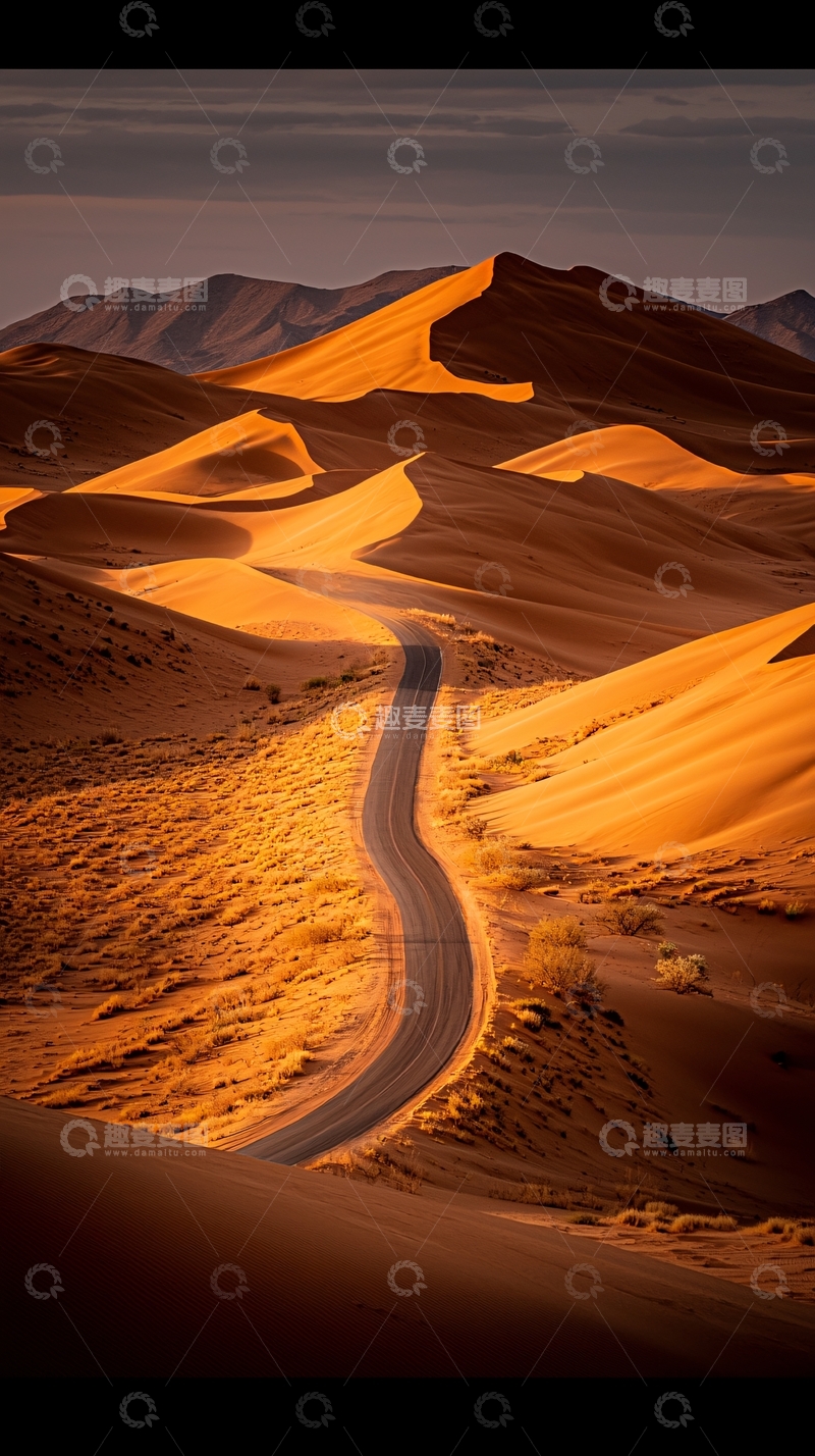 高清大图下载【趣麦麦图】蜿蜒公路穿过金色沙漠
