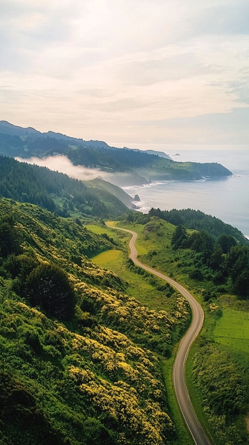 蜿蜒海岸公路