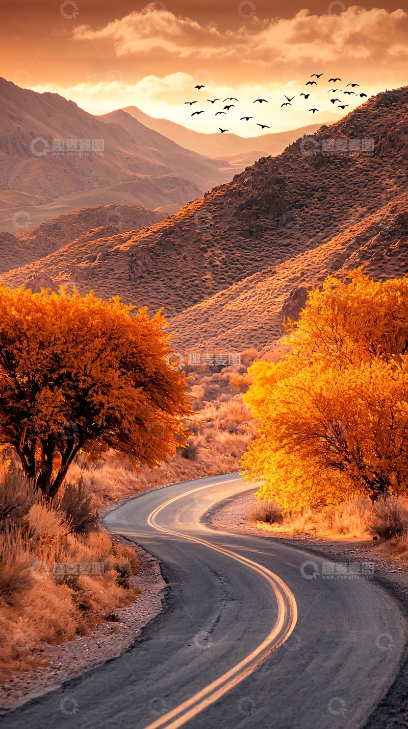 高清大图下载【趣麦麦图】秋日蜿蜒山路