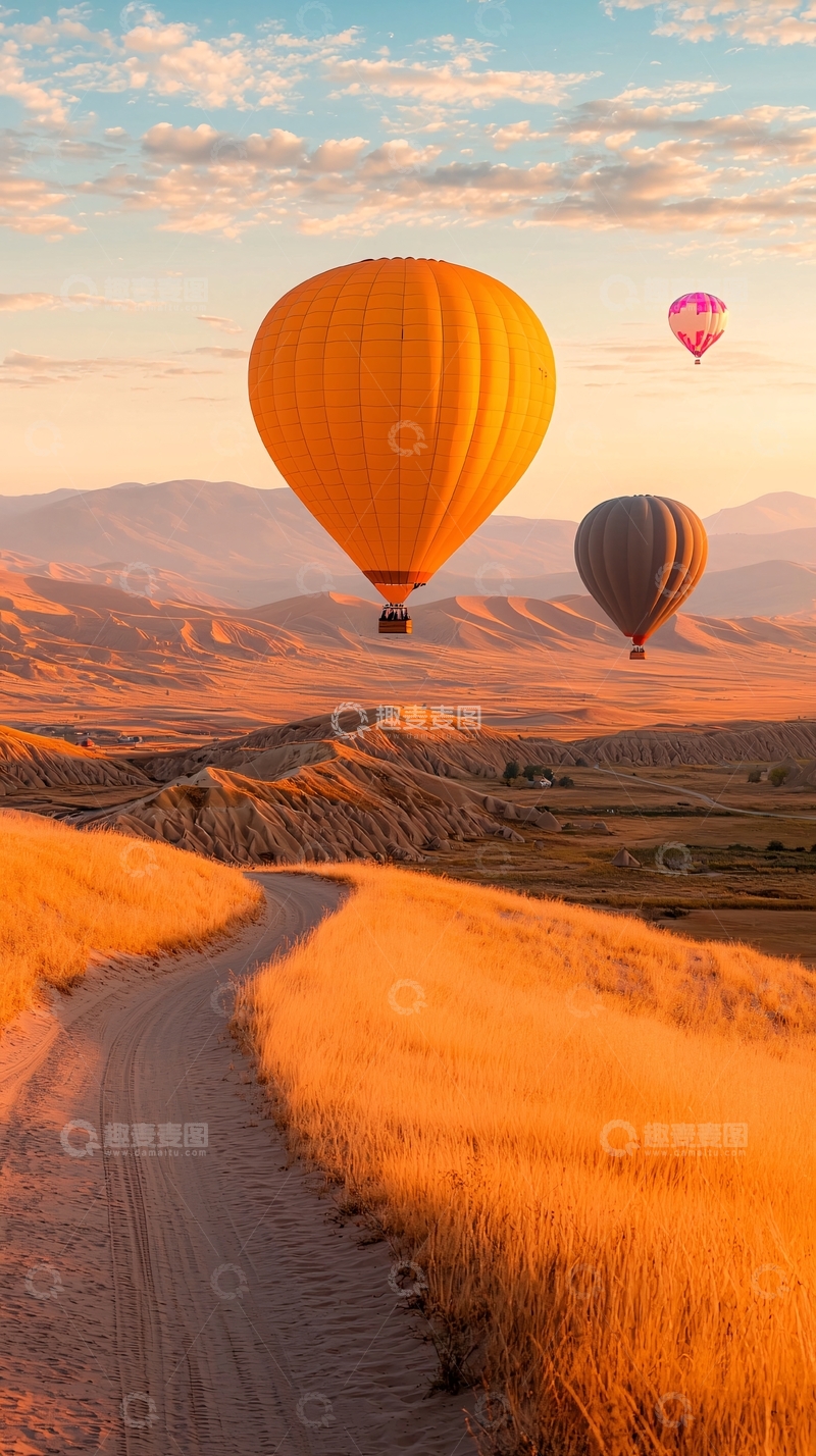 高清大图下载【趣麦麦图】热气球飞跃金色原野
