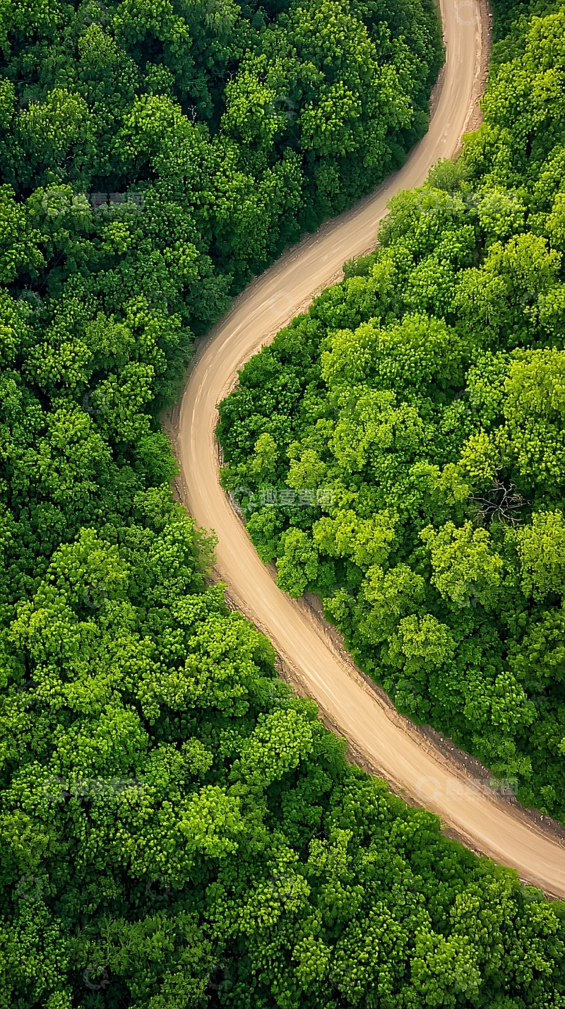 高清大图下载【趣麦麦图】蜿蜒小路穿梭森林