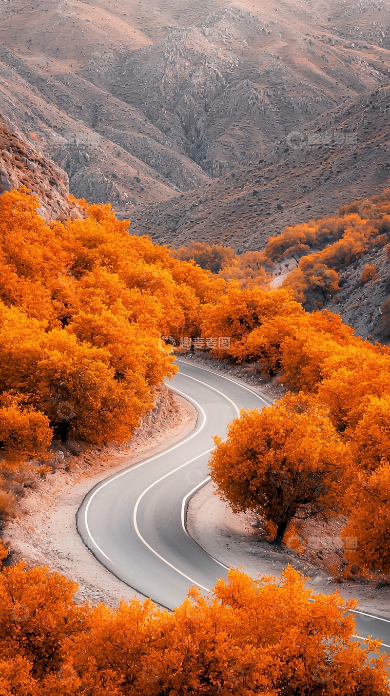 高清大图下载【趣麦麦图】秋季盘山公路风景