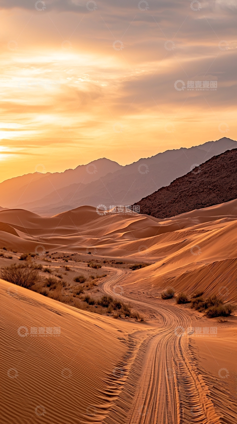 高清大图下载【趣麦麦图】金色沙漠中的蜿蜒道路