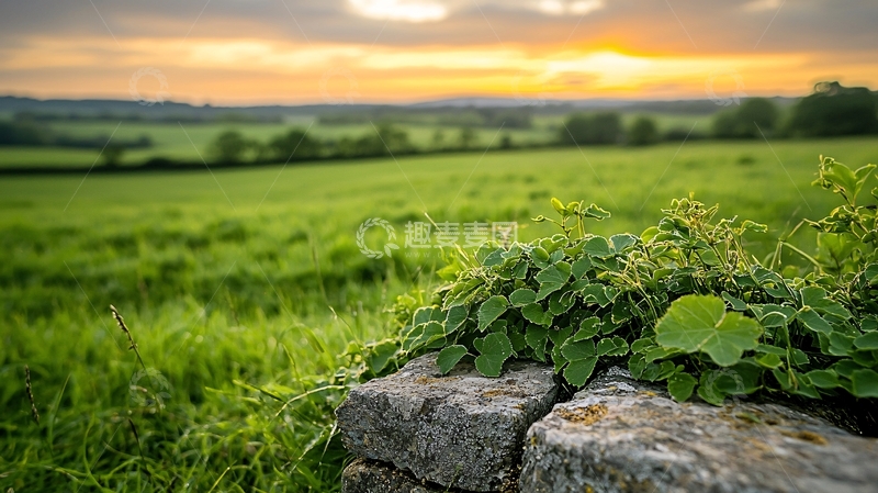 高清大图下载【趣麦麦图】田园风光日落下的宁静