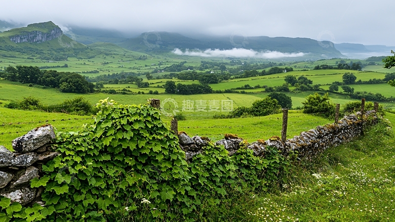 高清大图下载【趣麦麦图】翠绿山谷和石头围墙