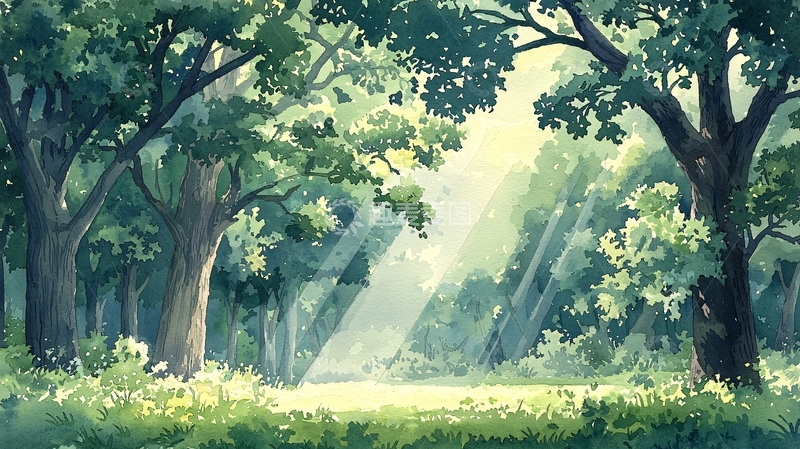高清大图下载【趣麦麦图】阳光穿透树林的清新景象