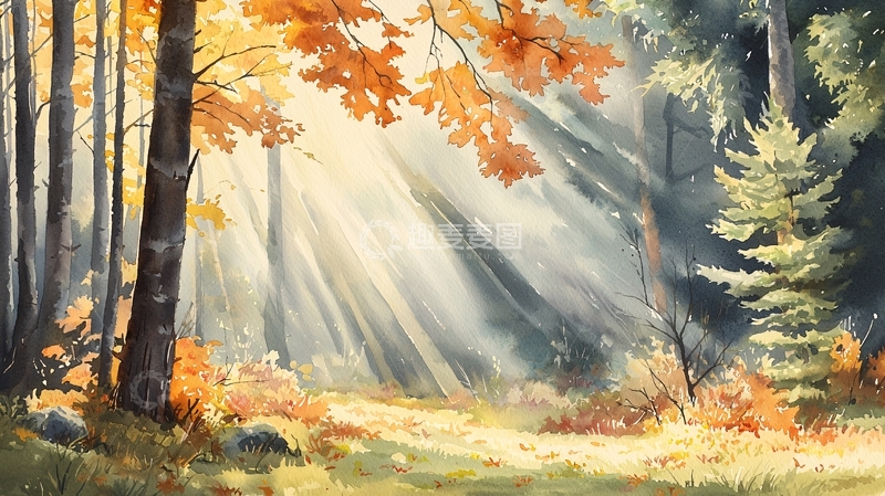 高清大图下载【趣麦麦图】秋日阳光穿透森林
