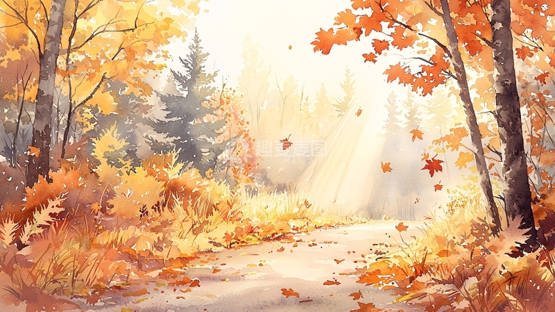 高清大图下载【趣麦麦图】秋日阳光下的金色森林