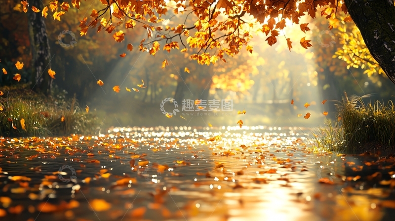 高清大图下载【趣麦麦图】秋日阳光洒落的河流美景
