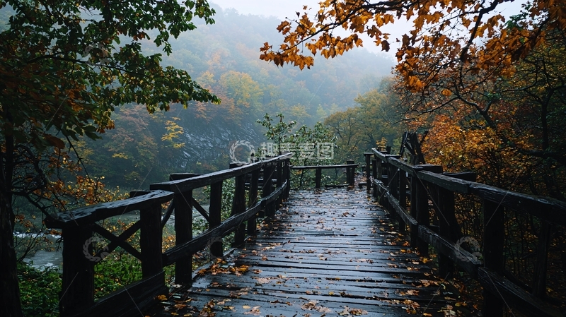 高清大图下载【趣麦麦图】秋日森林中的桥梁