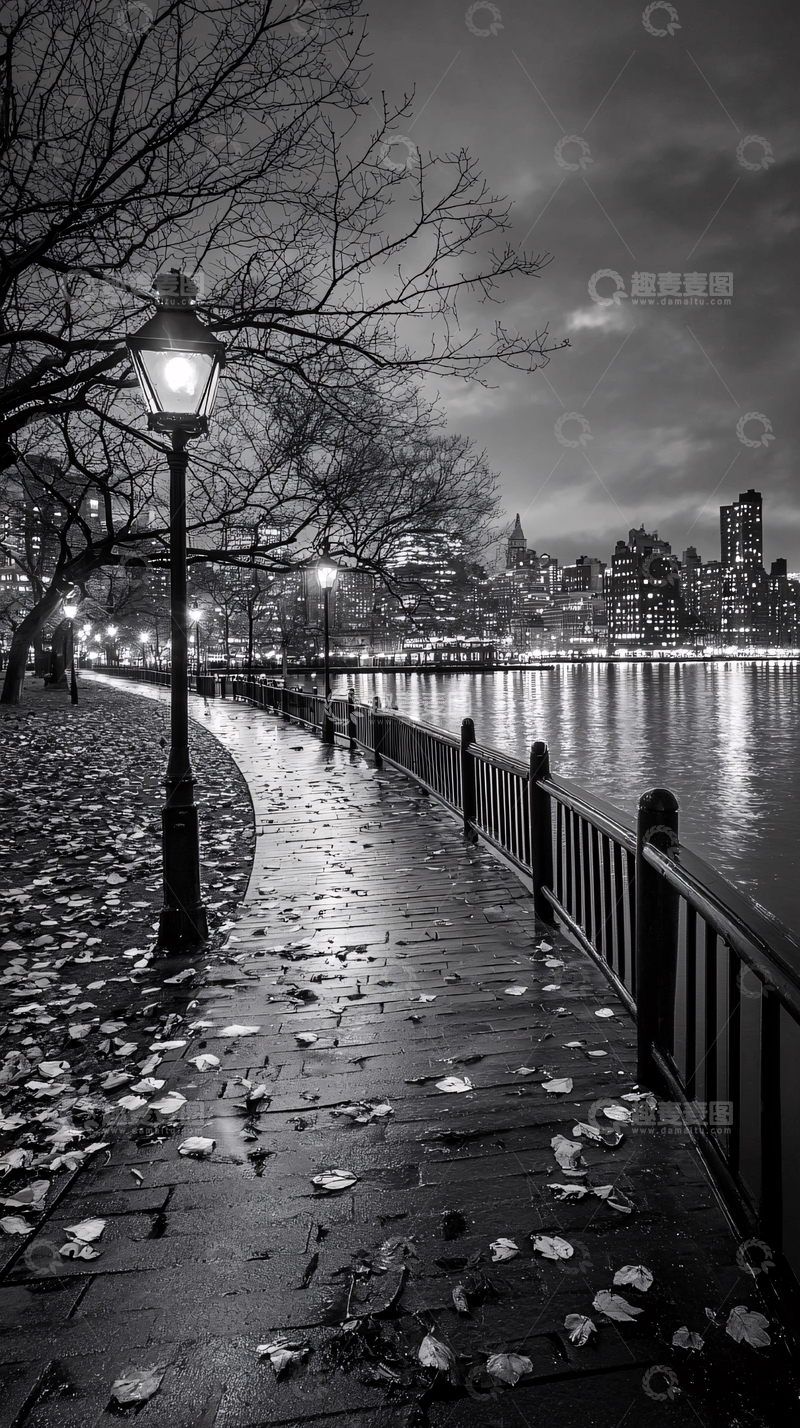 高清大图下载【趣麦麦图】黑白城市夜景河岸路灯