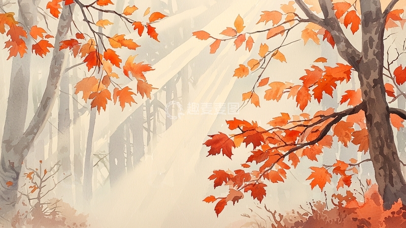 高清大图下载【趣麦麦图】秋日暖阳下的树林