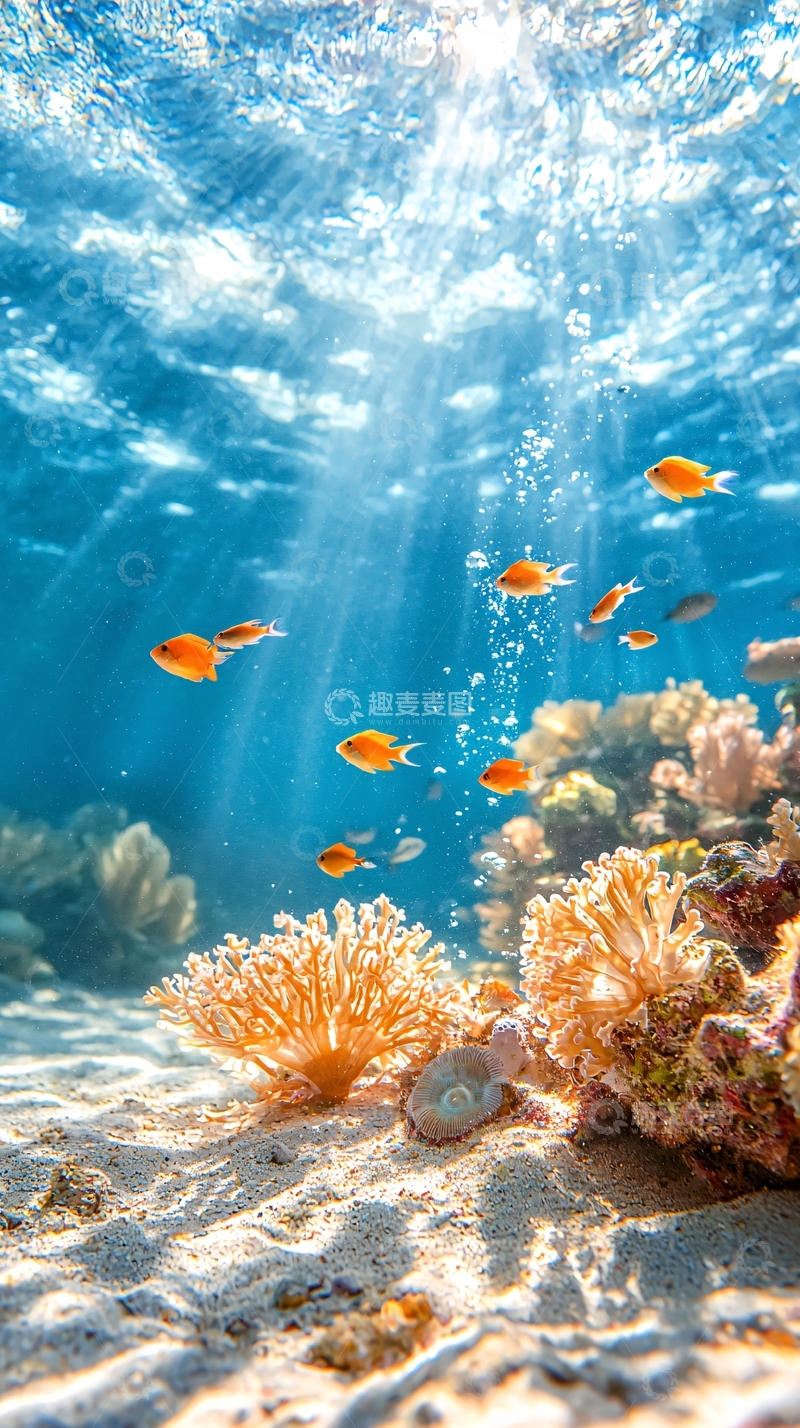 高清大图下载【趣麦麦图】水下鱼群珊瑚礁光线