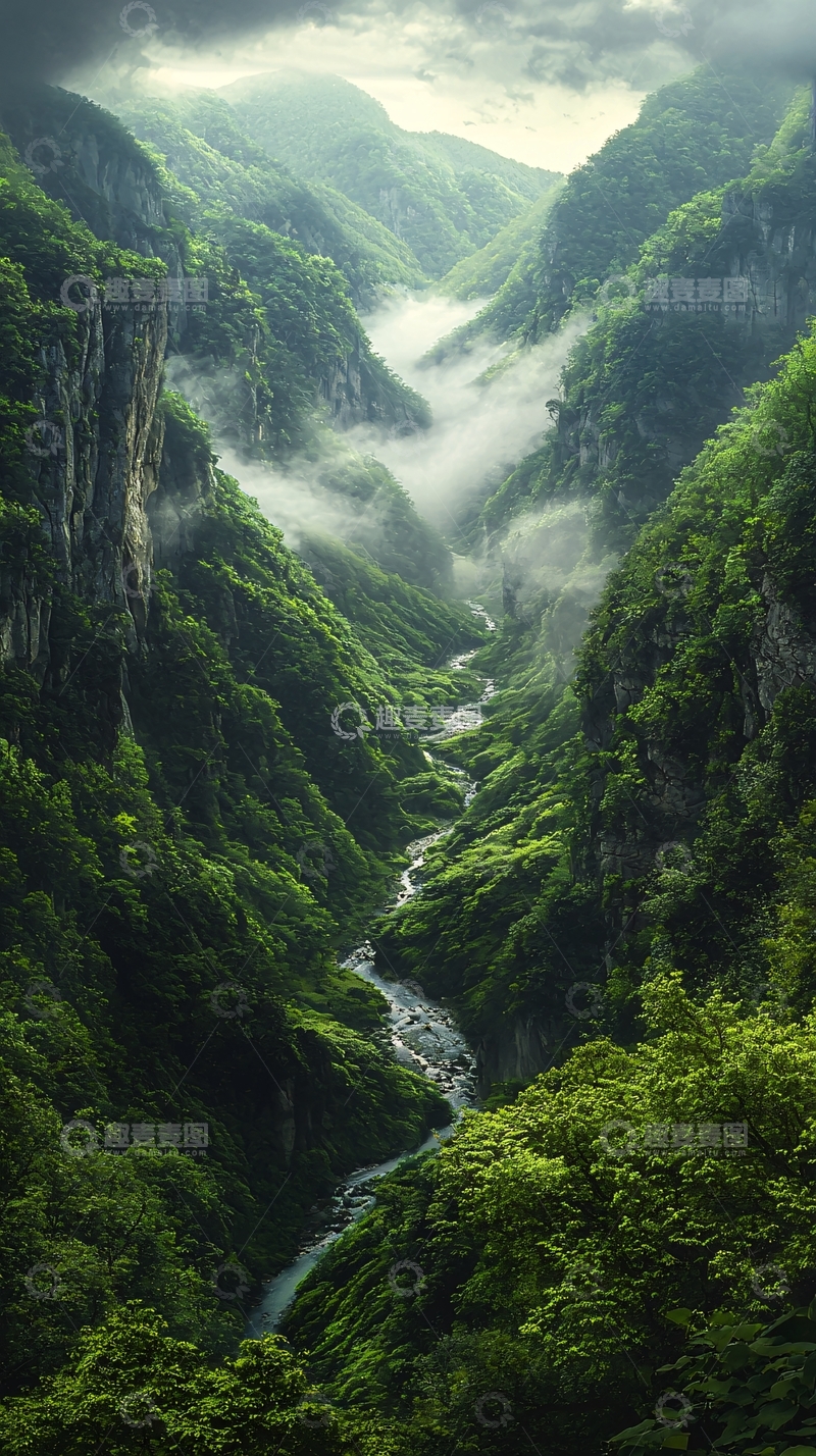 高清大图下载【趣麦麦图】郁郁葱葱的峡谷河流