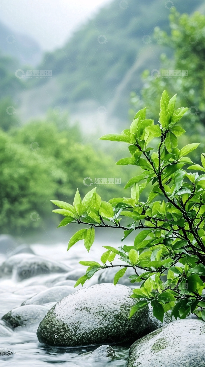 高清大图下载【趣麦麦图】绿叶掩映下的溪流山景