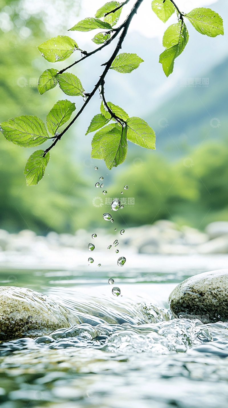 高清大图下载【趣麦麦图】清新树叶水滴小溪