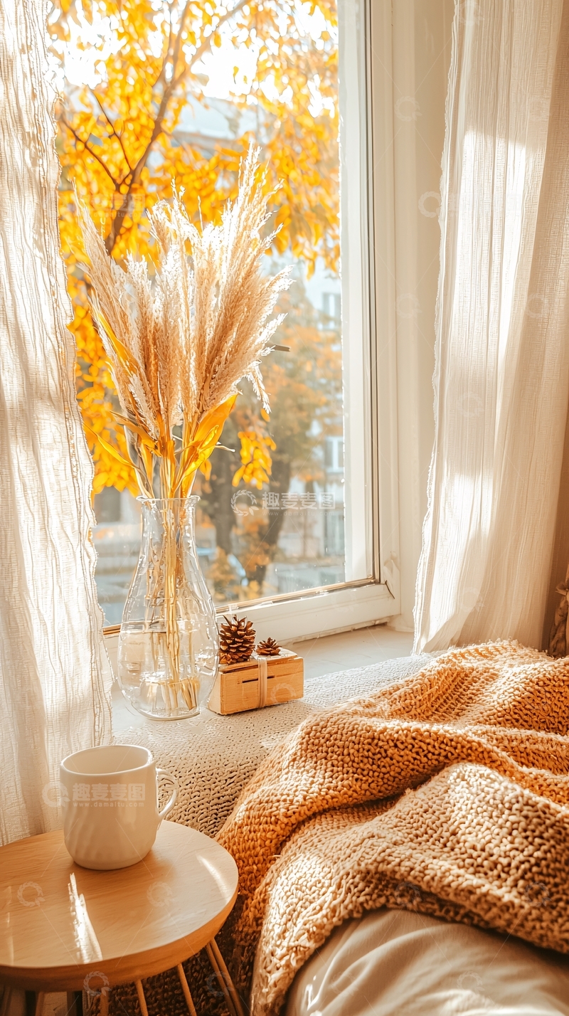 高清大图下载【趣麦麦图】秋日阳光洒进房间的窗边