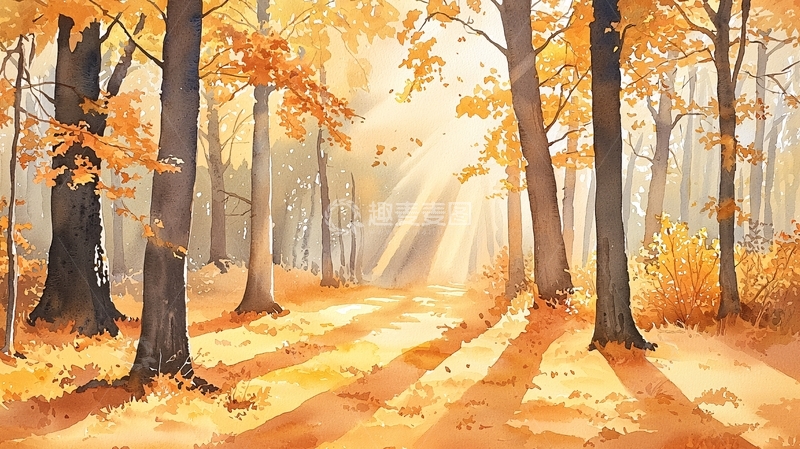 高清大图下载【趣麦麦图】秋日阳光下的金色森林