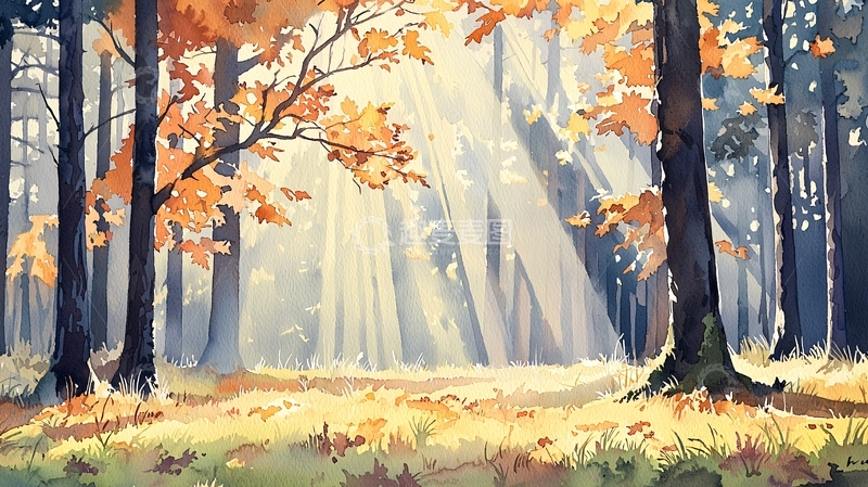 高清大图下载【趣麦麦图】秋日阳光穿透树林场景