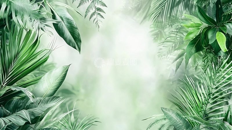 高清大图下载【趣麦麦图】绿色植物围绕的朦胧光晕