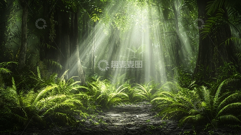 高清大图下载【趣麦麦图】阳光穿透茂密丛林