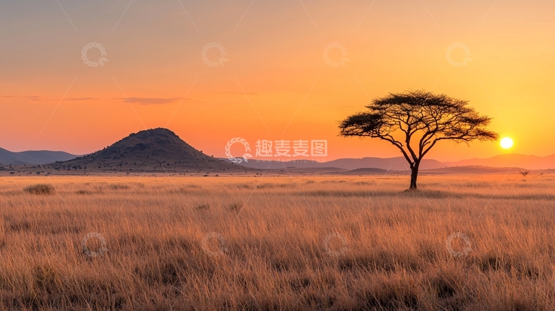 高清大图下载【趣麦麦图】非洲草原日落下的树