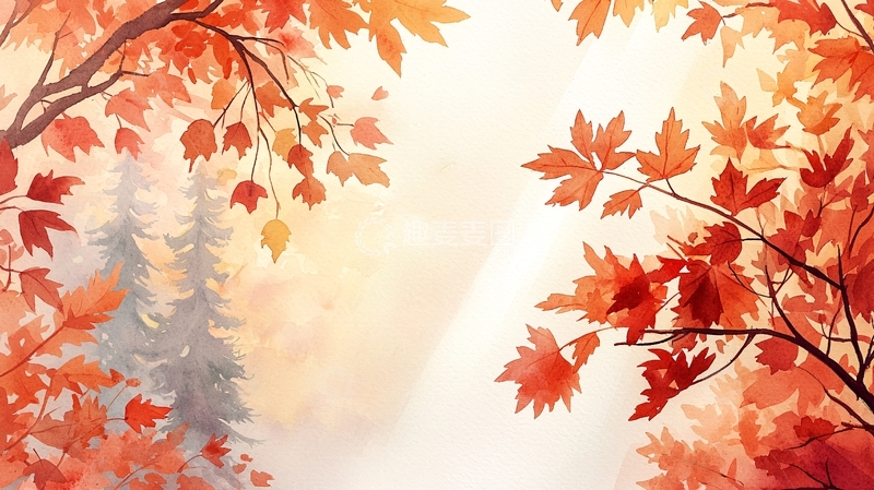 高清大图下载【趣麦麦图】红色枫叶林笼罩在雾气中