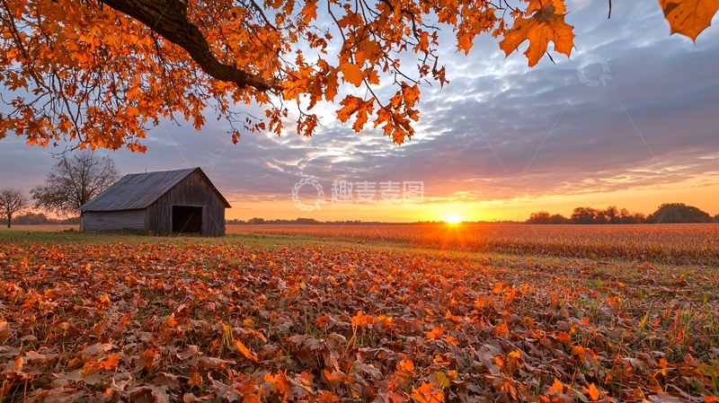 高清大图下载【趣麦麦图】秋日田园小屋夕阳