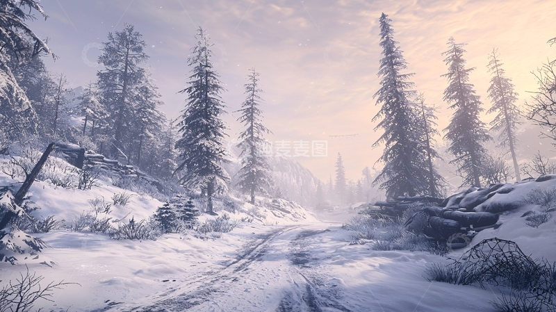 高清大图下载【趣麦麦图】雪地森林景观
