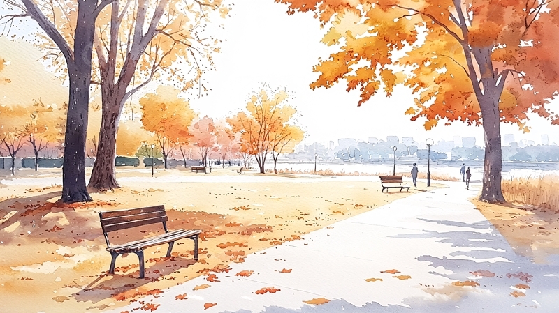 高清大图下载【趣麦麦图】秋日暖阳下的公园长椅