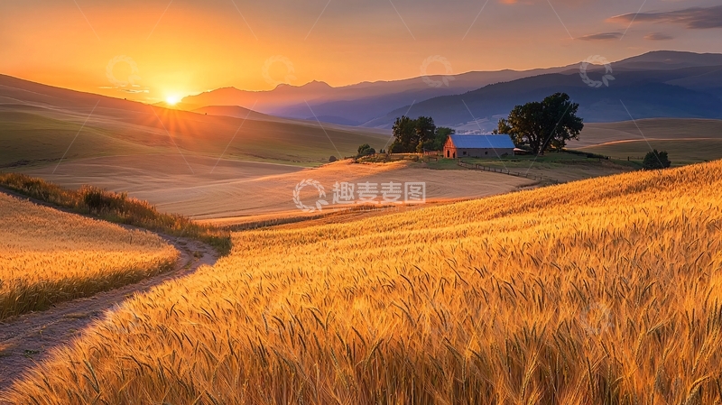 高清大图下载【趣麦麦图】金色麦田日落