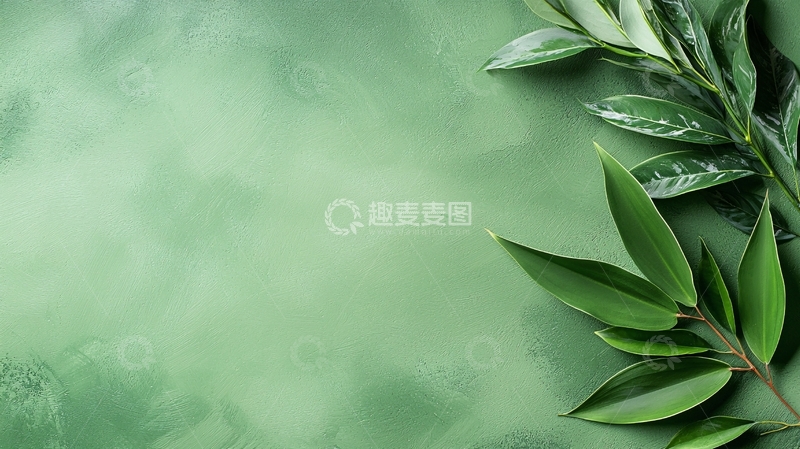 高清大图下载【趣麦麦图】绿色背景上的树叶