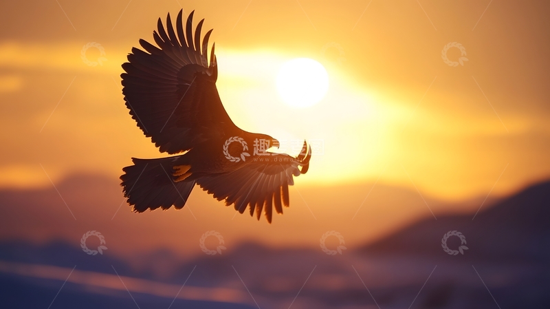 高清大图下载【趣麦麦图】夕阳下飞鹰山景自然图