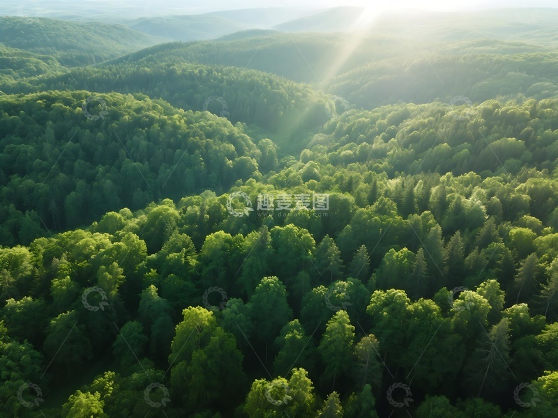 高清大图下载【趣麦麦图】-阳光照耀下的翠绿山林风光