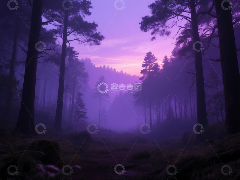高清大图下载【趣麦麦图】紫暮笼罩的森林神秘氛围画面