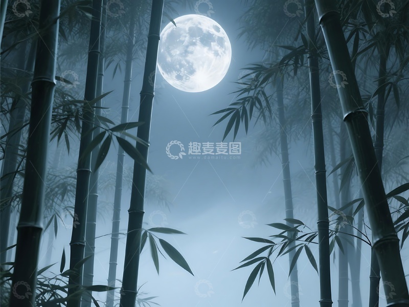 高清大图下载【趣麦麦图】月夜竹林间的静谧清幽画面