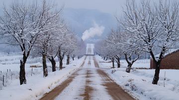 冬季城镇上的道路1
