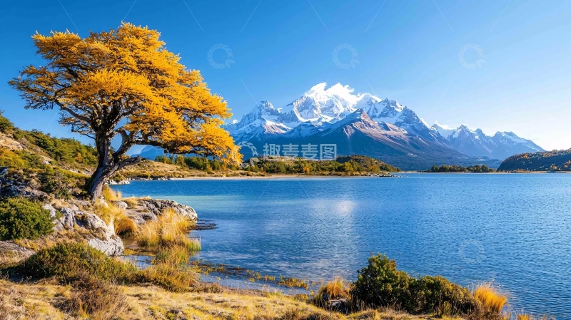高清大图下载【趣麦麦图】秋季湖畔雪山美景