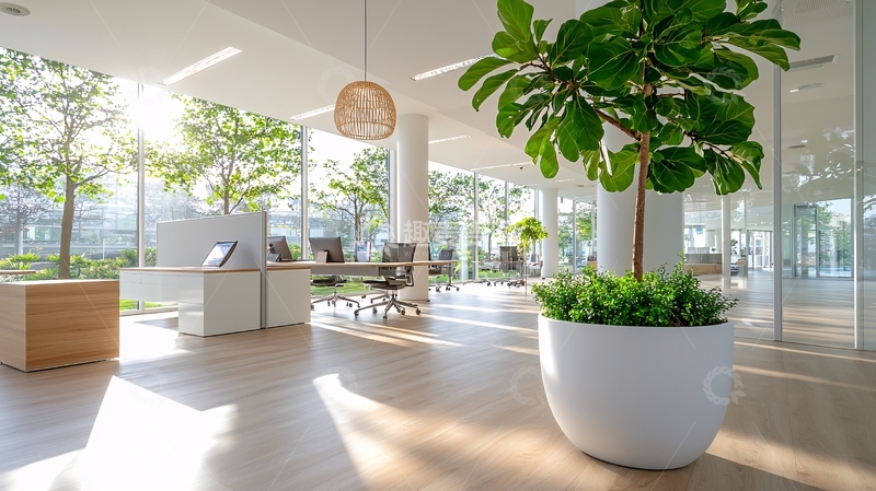 高清大图下载【趣麦麦图】明亮办公室绿植盆栽